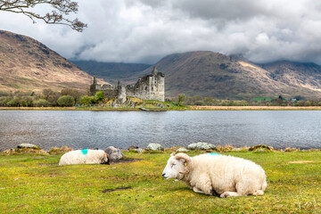 Panoramic view of Kilchurn Castle, Highlands, Scotland - 677610127