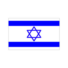 Israel's flag in a white box