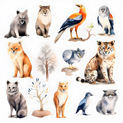 Set of animals illustration, watercolor set of  Animals Illustration.