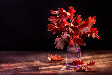 Autumn background with red oak leaves in a vase, black and bordeaux colores. Copy space. Hard light.