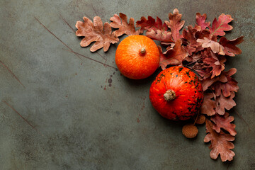 Beautiful green autumn background with orange pumpkins and red oak leaves. Copy space. Festive,...