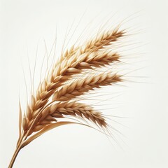 wheat ears isolated on a white background, Wheat, Ears, on a Transparent, Background,
an ear of wheat, Horizontal wheat ears, An ear of wheat, Bunch, of wheat ears, Wheat ears,
Package Generative AI 
