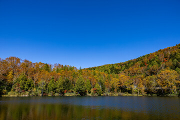 Shiga Kogen Early morning view of autumn leaves at Kido Pond.