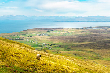 Beautiful panorama view of Quiraing, Scotland, Isle of Skye - 677615769