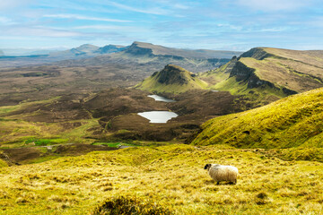 Beautiful panorama view of Quiraing, Scotland, Isle of Skye - 677615780