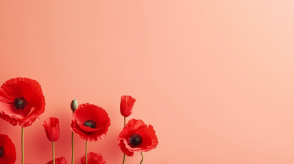 Red poppy flowers on pastel background for Remembrance Day