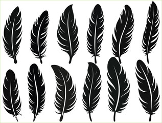 Feather silhouette set, Bird Feather black silhouettes, Silhouettes of feather, Vector illustration