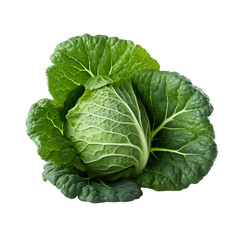 Obraz premium Fresh collard green isolated on transparent background