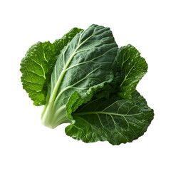 Obraz premium Fresh collard green isolated on transparent background