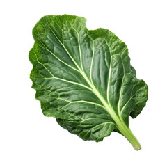 Fresh collard green isolated on transparent background