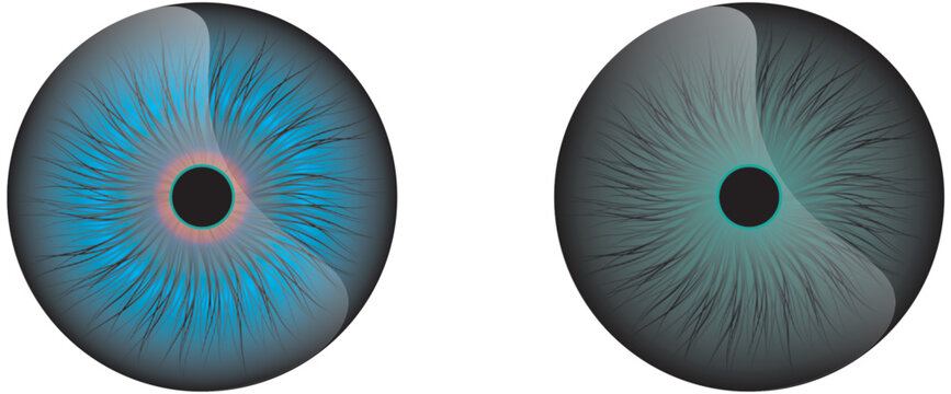 Abstract eye illustration. Iris decorative image. Circle vector line sketch.Blue eye iris pupil vector illustration isolated.Human eye graphic