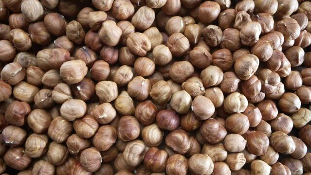 Close-up Macro Panning Shot of Huzelnuts
