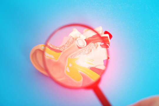Medical mockup of an inflamed ear on a blue background under a magnifying glass. Concept of ear diseases, otitis media and eustachitis. Otolaryngology, close-up