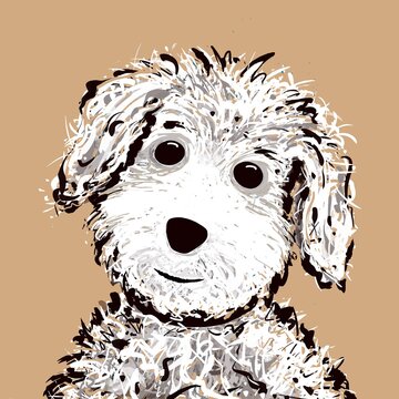 Cute white dog illustration with tilted head. Drawn in a contemporary textured style with a bold background. Scruffy dog picture.