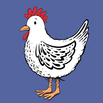 Illustration of a cute white chicken on a bright blue background. Stylised decorative feathers. Hen design in a cartoon style. Orange beak and feet and a bright red comb and wattles.