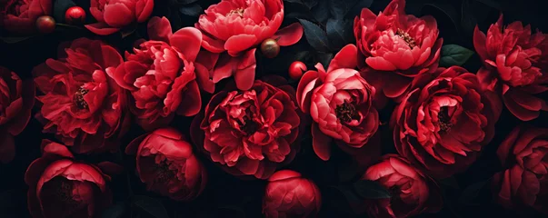 Lichtdoorlatende gordijnen Pioenrozen Beautiful red peony flowers