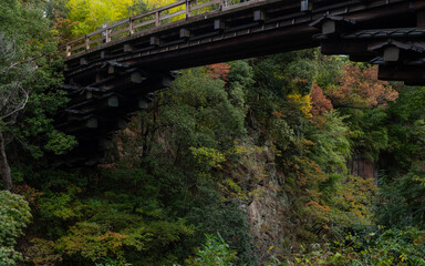 紅葉間近の猿橋　山梨県