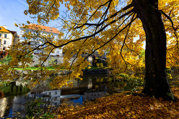 City park in Cesky Krumlov on an autumn day