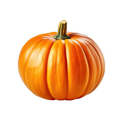 Single Pumpkin Isolated on Transparent or White Background, PNG