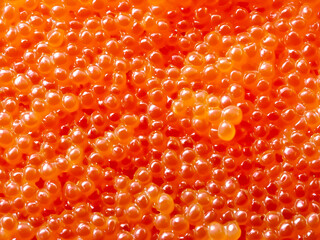 close up red caviar texture