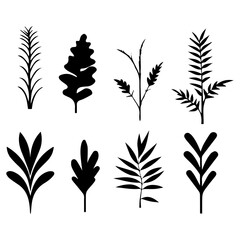 Plant vector silhouette illustration, tree plantation, small plant