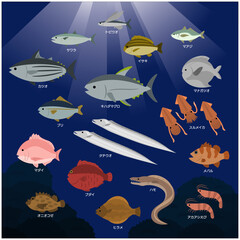 日本近海のサカナ