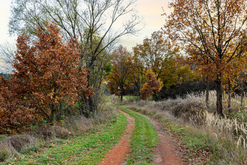 Fototapeta na wymiar Rural road on an autumn day.