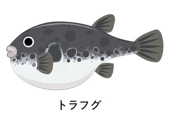 トラフグのイラスト