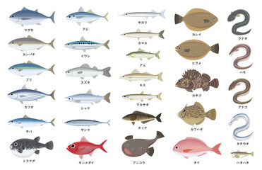 日本で人気な美味しい魚のセットイラスト - obrazy, fototapety, plakaty