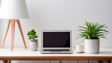 Wooden desk with a potted succulents, table lamp and laptop computer.