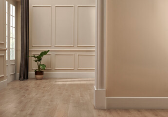 Classic wall interior room style, empty, close up concept. Plant and carpet decor.