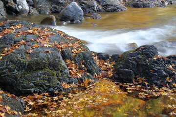 べふ峡　秋を閉じ込める　（高知県　香美市）
