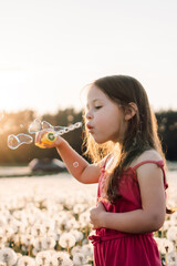 Adorable girl standing in meadow among white dandelions and blowing soap bubbles. Active lady having fun in blowballs.