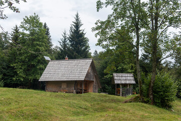 Fototapeta na wymiar Traditional wooden houses and pastures of Bohinj Valley