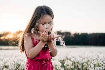 Delightful girl in pink jumpsuit stand surrounded by white dandelions and blowing flowers in hands, playing in field.