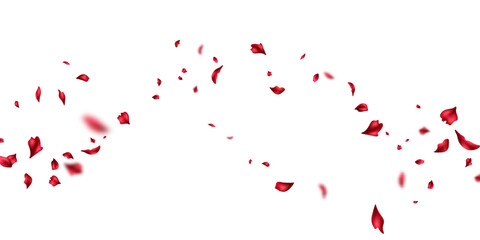 Fototapeta na wymiar Red petal design background blowing in the wind beautiful vector illustration