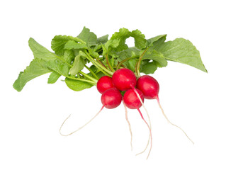 Bunch of radish with  leaves