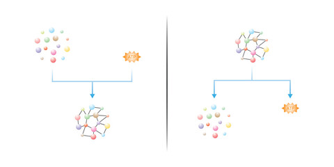 Anabolic and Catabolic Reactions Scientific Design. Vector Illustration.