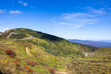 View of autumnal leaves of Shiga Kogen.