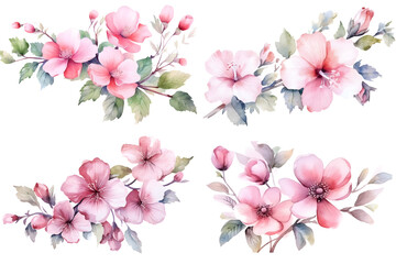 Pink Flowers watercolor illustration set isolated on white background