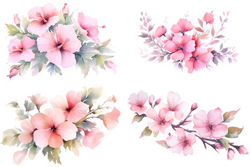 Pink Flowers watercolor illustration set isolated on white background