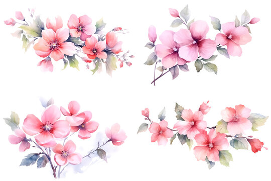 Pink Flowers watercolor illustration set isolated on white background