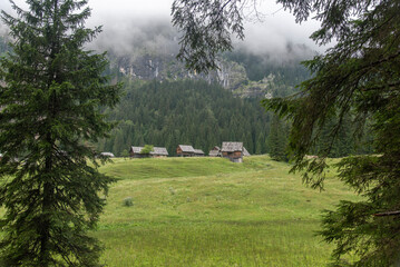 Traditional wooden houses and pastures of Bohinj Valley