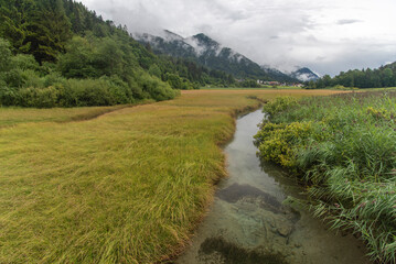 Fototapeta na wymiar Colorful water at Nature reserve at Zelenci, Slovenia