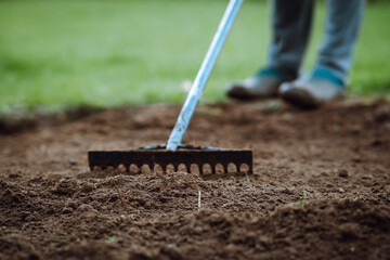 Garden rake in hands of human loosening ground, standing on grass. Soil treatment using...