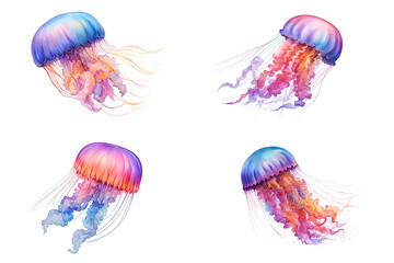 Jellyfish watercolor hand drawn illustration isolated on white background 