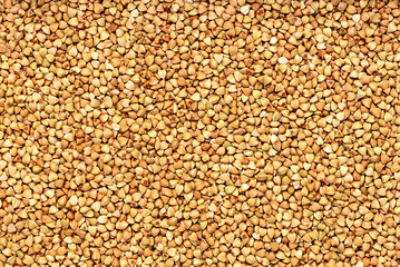 Blank macro photography of green buckwheat; raw; cereal; grain; groat; health; vegetarian; natural; carbohydrates; closeup