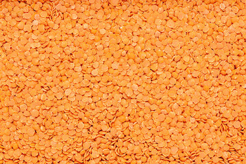 Blank macro photography of raw red lentil, legume, groat; health; vegetarian; natural; carbohydrates; closeup