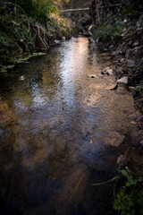 Serene Morning: Shallow Stream with Turbid Waters Reflecting Sunlight
