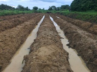 plowed field in spring